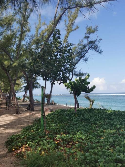 Апартаменти Beau T3 Litchi Vue Ocean Piscine Сен-Жиль-ле-Бен Екстер'єр фото